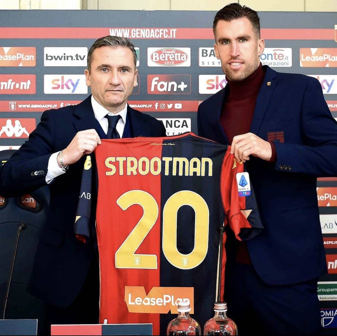 草皮引进 草皮引进