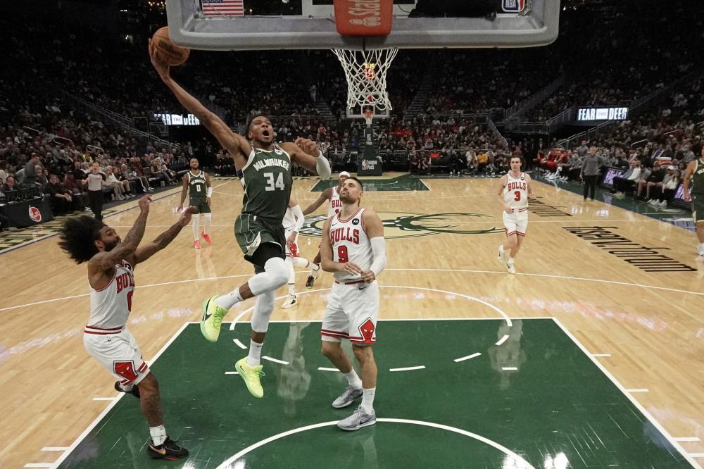 科科为例 科科为例